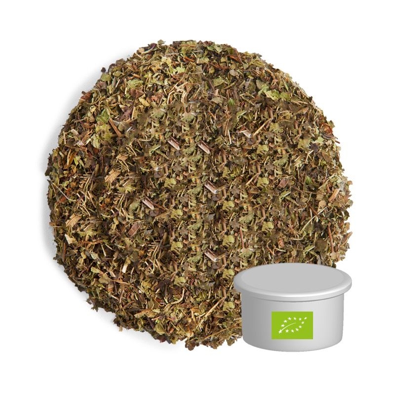 Capsule Verveine biologique
