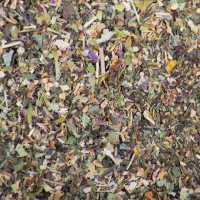 Infusion menthe poivrée