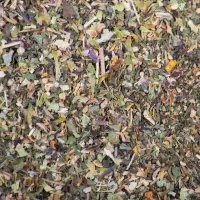 Infusion menthe poivrée