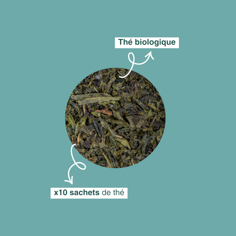 Thé vert Sencha bio