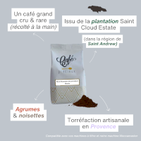 Café Blue Mountain de Jamaïque