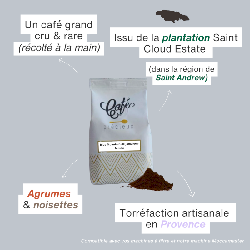 Café Blue Mountain de Jamaïque