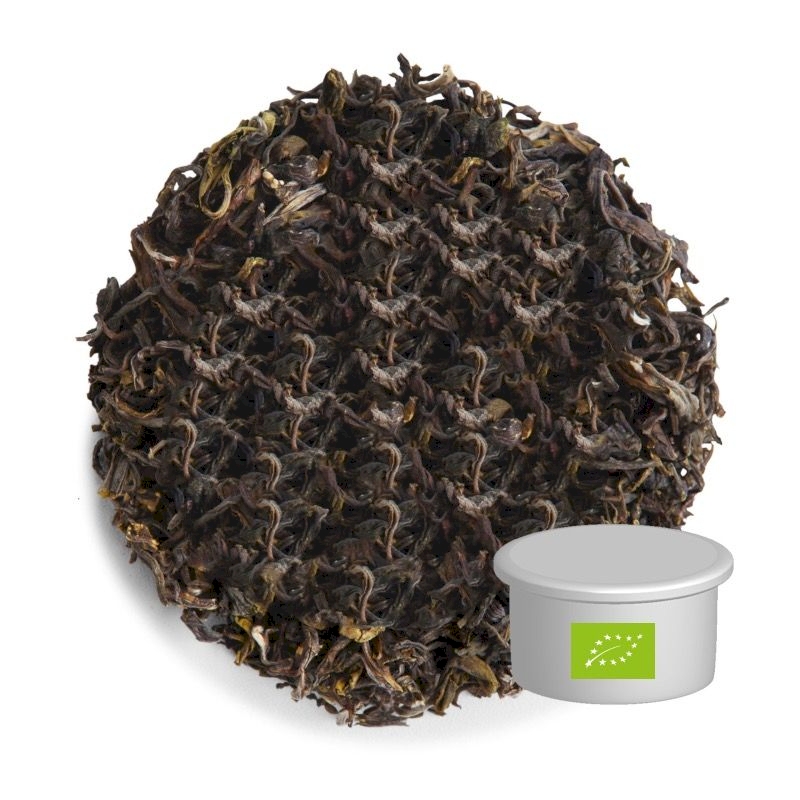 Capsule de thé noir Darjeeling bio