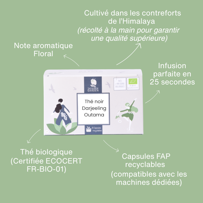 Capsule de thé noir Darjeeling bio