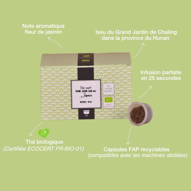 Capsule de thé vert Jasmin bio