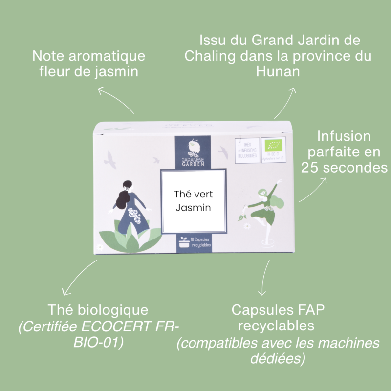 Capsule de thé vert Jasmin bio