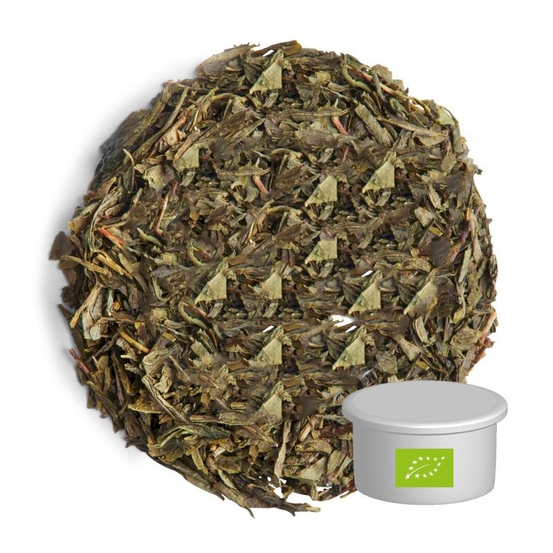 Capsule de thé vert Sencha bio