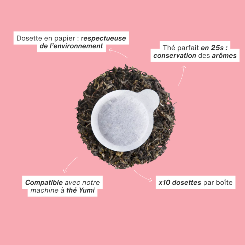 Dosette Thé noir Darjeeling biologique