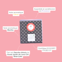 Dosette Thé vert Jardin Majorelle biologique