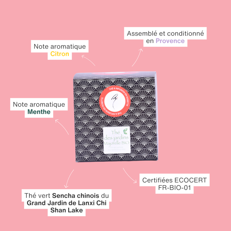 Dosette Thé vert Jardin Majorelle biologique