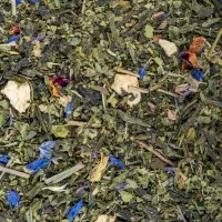 Thé vert veillée en Provence