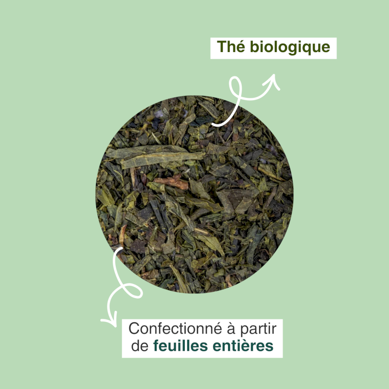 Thé vert sencha du Japon bio
