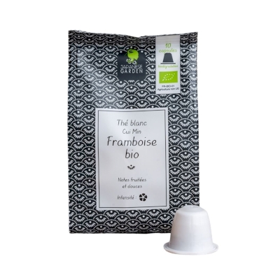 Thé vert Mangue biologique