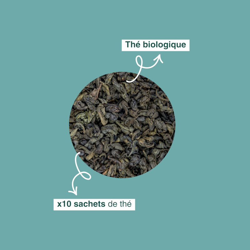 Thé vert bio Gunpowder