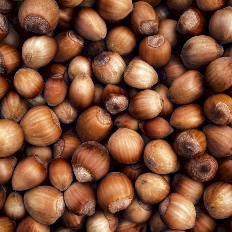 Sirop de noisette bio