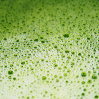 Thé vert matcha bio Thé vert matcha bio