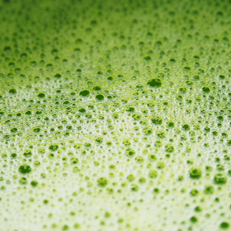Thé vert matcha bio