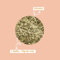 Infusion Verveine bio