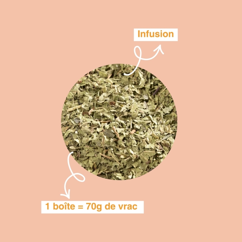 Infusion Verveine bio