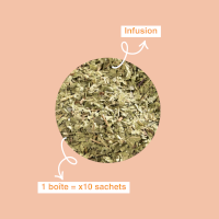Infusion Verveine bio