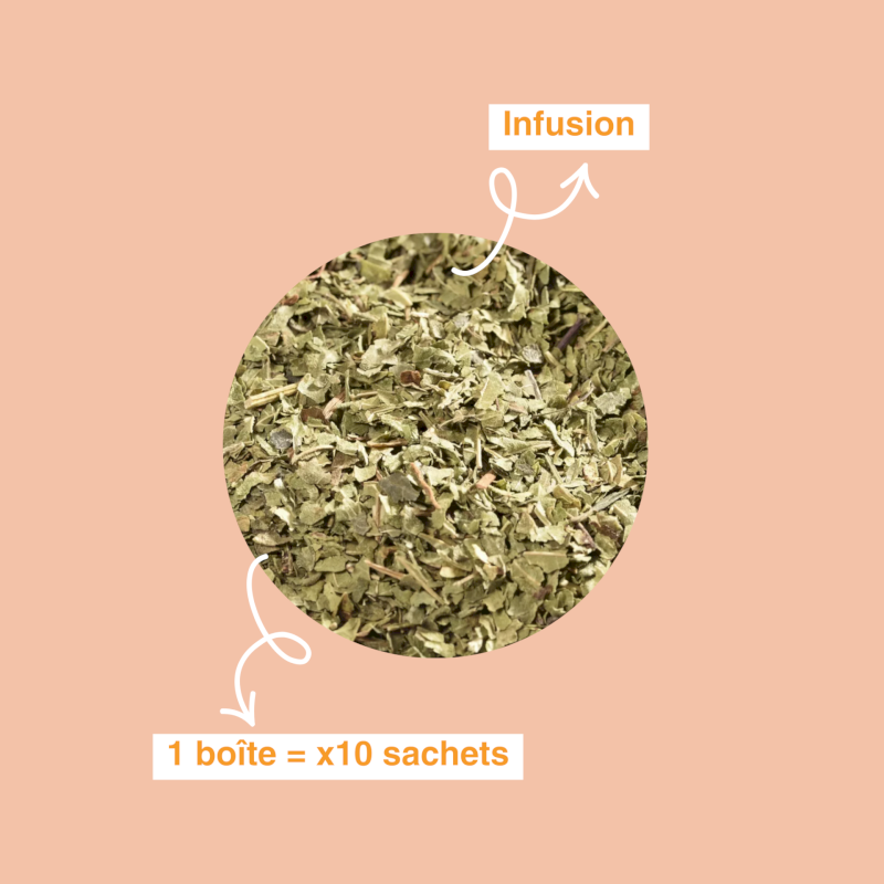 Infusion Verveine bio