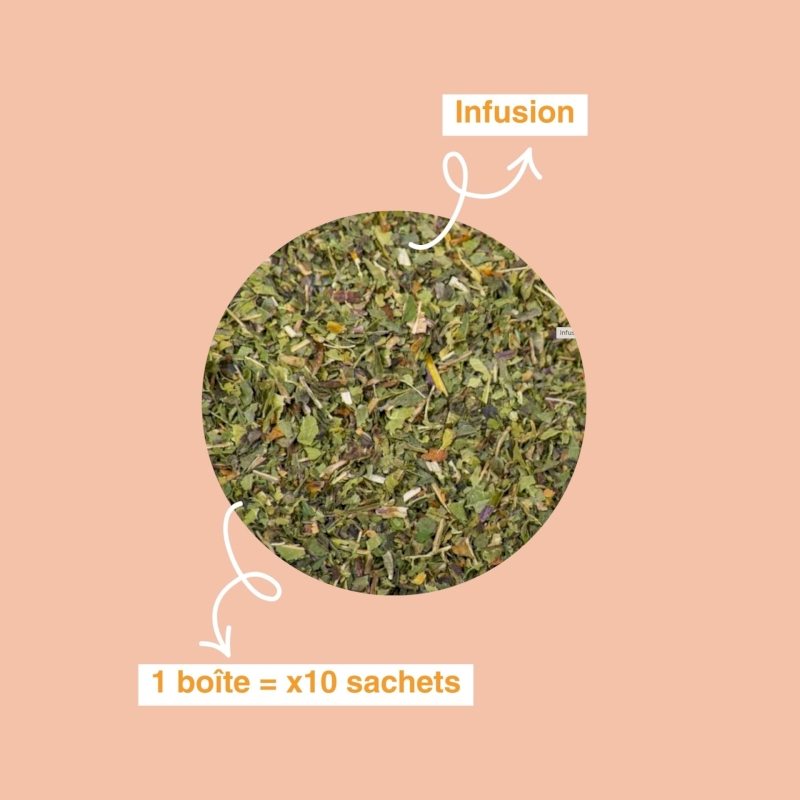 Infusion Verveine-Menthe bio