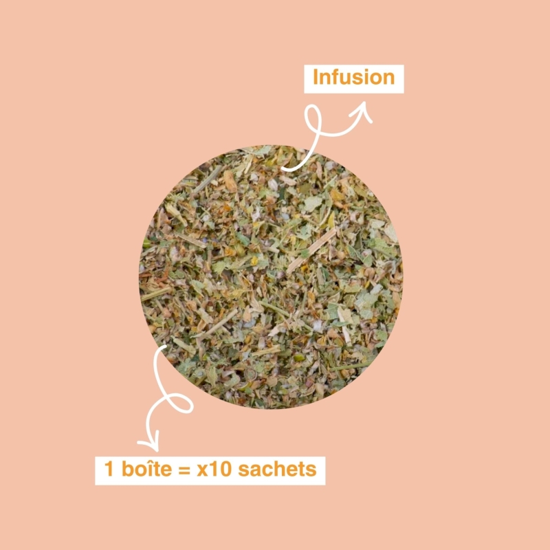 Infusion Tilleul-Menthe bio