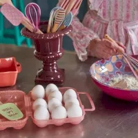 Saladier en mélamine - Figues