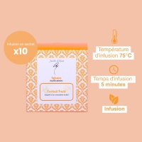 Infusion Cocktail Fruité