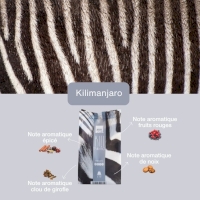 Café Kilimanjaro Café Kilimanjaro