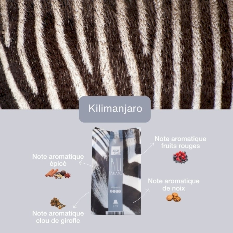 Café Kilimanjaro Café Kilimanjaro