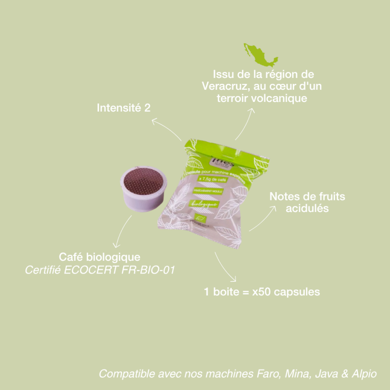 Café bio du Mexique