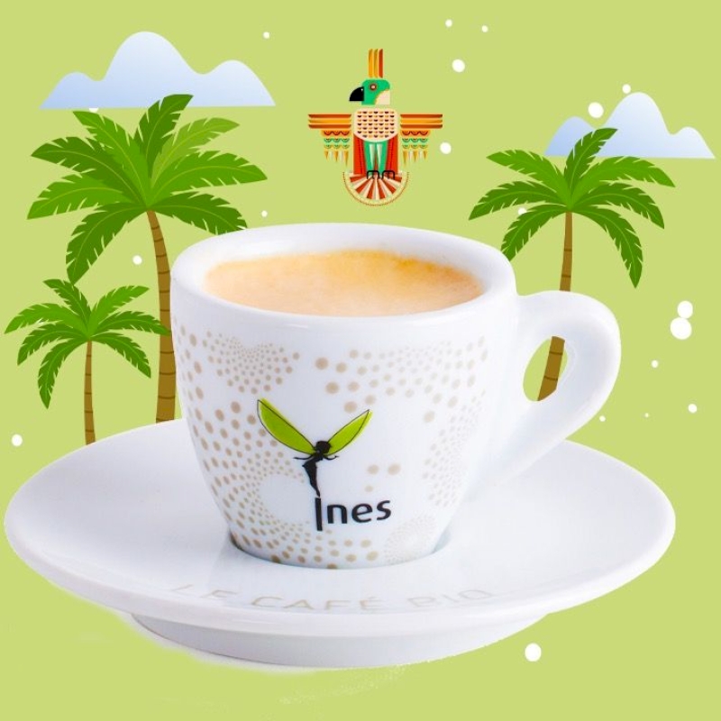 Café bio Maya