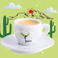 Décaféiné biologique